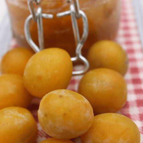Les Aliments Locaux et de Saison à Nancy
