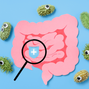 Microbiote intestinal